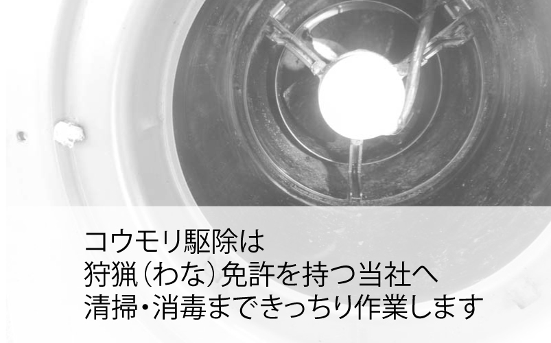 川崎市のコウモリ駆除はわな免許を持つ当社へお任せください。フンの清掃・消毒まで作業します。